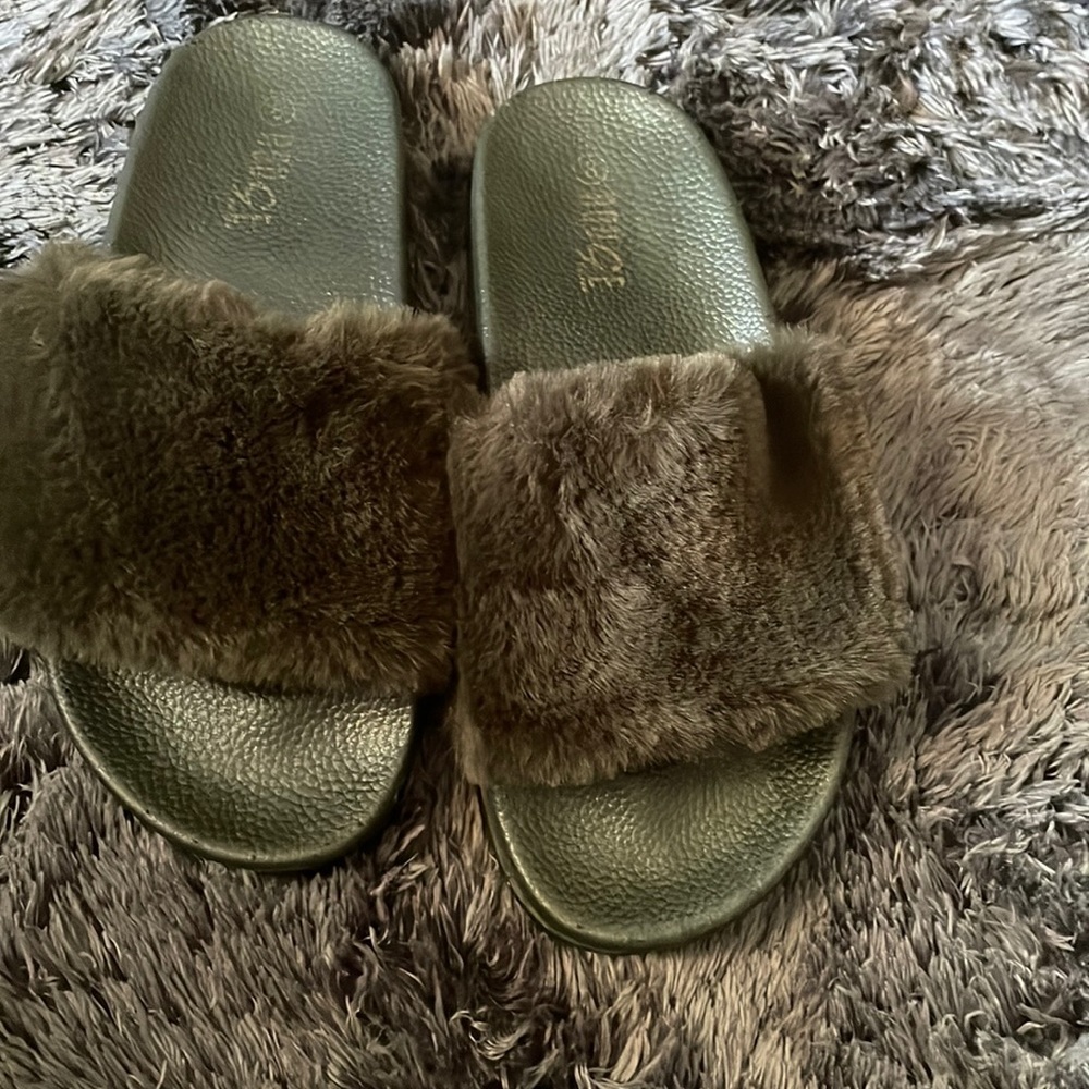 Olive slides